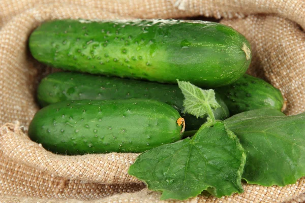 Smakelijke groene komkommers op rouwgewaad achtergrond — Stockfoto