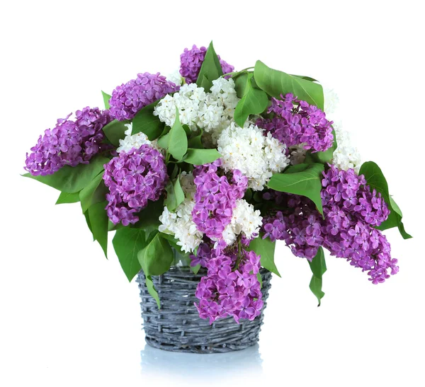 Beautiful lilac flowers in wicker vase, isolated on white — Stock Photo, Image