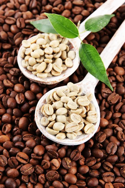 Grön och brun kaffebönor med blad — Stockfoto