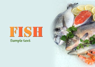 buz üstünde taze deniz ürünleri