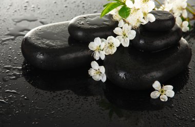 Spa taşlar ve koyu arka plan üzerinde beyaz çiçekler