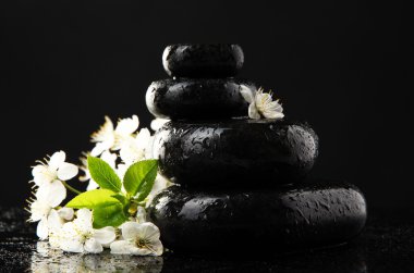 Spa taşlar ve izole siyah üzerine beyaz çiçekler