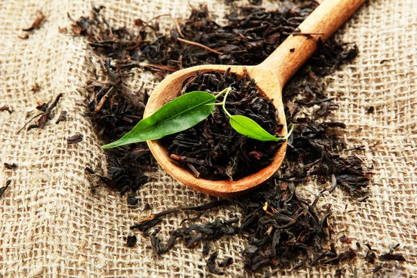 Dry tea with green leaves in wooden spoon, on burlap background — Stock Photo, Image