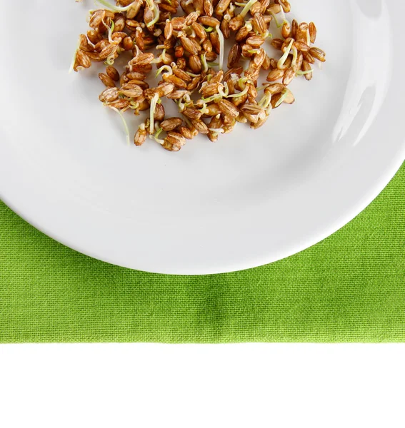 Wheat germs on plate isolated on white — Stock Photo, Image