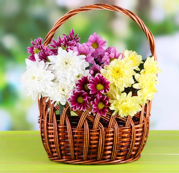Kytice krásné chryzantémy v proutěném koši na stole na světlé pozadí — Stock fotografie