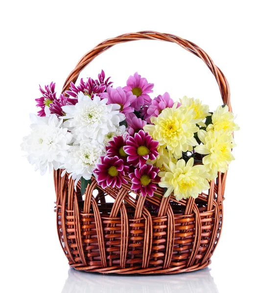Bouquet of beautiful chrysanthemums in wicker basket isolated on white — Stock Photo, Image