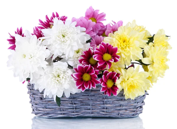 Bouquet de beaux chrysanthèmes dans un panier en osier isolé sur blanc — Photo