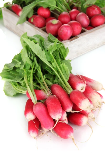 Small garden radish with leaves close up — Stock Photo, Image