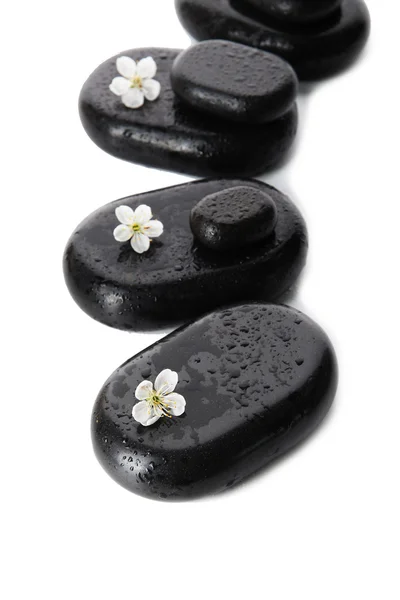 Spa stones and white flowers isolated on white — Stock Photo, Image