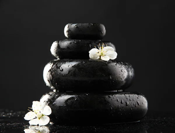 Wellness-Steine und weiße Blumen isoliert auf schwarz — Stockfoto