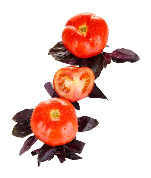 Verse tomaten en basilicum geïsoleerd op wit — Stockfoto