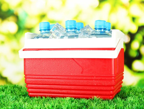 Picnic refrigerador con botellas de agua y cubitos de hielo en la hierba —  Fotos de Stock