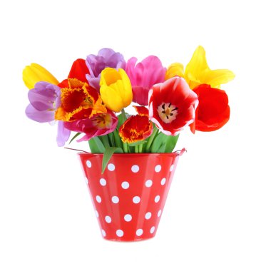 buket üzerinde beyaz izole güzel laleler