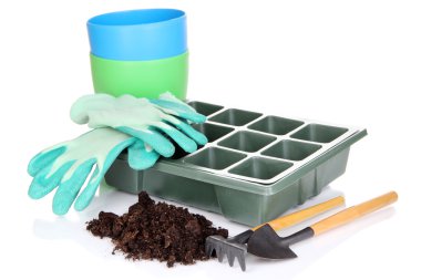 tohum kutusu üzerinde beyaz izole fide için