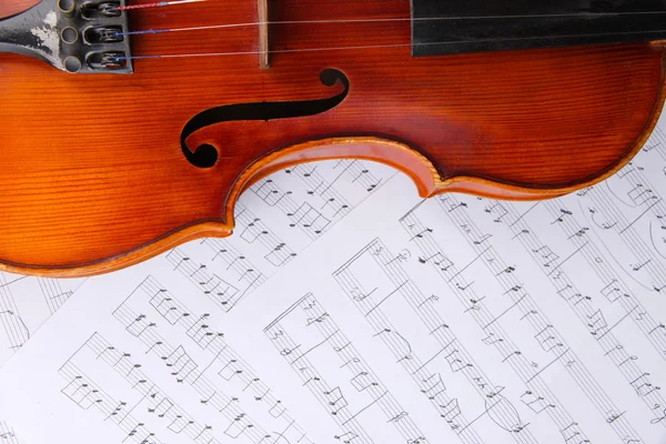 Violino classico sulle note — Foto Stock