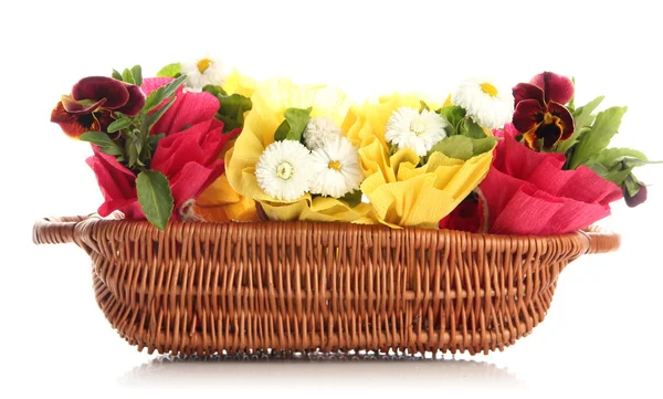 Beautiful spring flowers in basket isolated on white — Stock Photo, Image