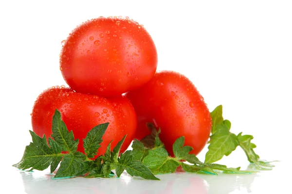Tomates maduros aislados en blanco —  Fotos de Stock