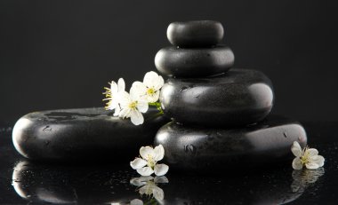 Spa taşlar ve izole siyah üzerine beyaz çiçekler