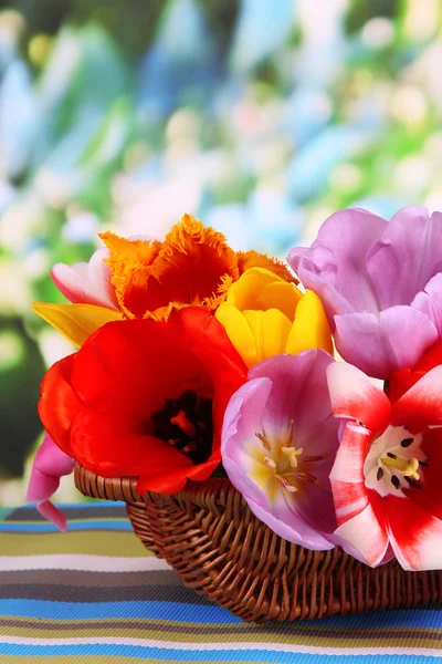 Vackra tulpaner i bukett i rotting korg på bordet på ljus bakgrund — Stockfoto