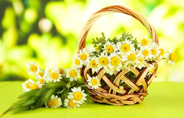 Wilde Kamille und Stacheln im Korb, auf grünem Hintergrund — Stockfoto