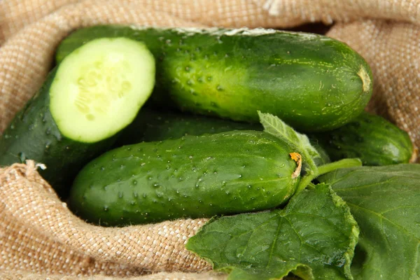 Tasty green cucumbers on sackcloth background — Stock Photo, Image