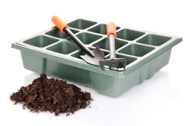 tohum kutusu üzerinde beyaz izole fide için