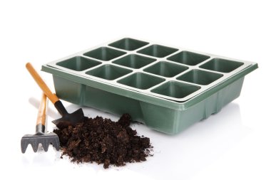 tohum kutusu üzerinde beyaz izole fide için