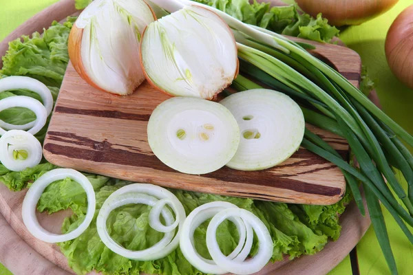 Composición con hierbas y cebollas de cerca — Foto de Stock