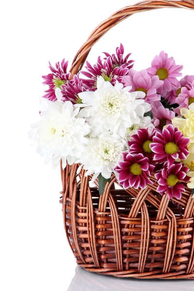 Букет красивых хризантем в плетеной корзине, изолированной на белом — стоковое фото