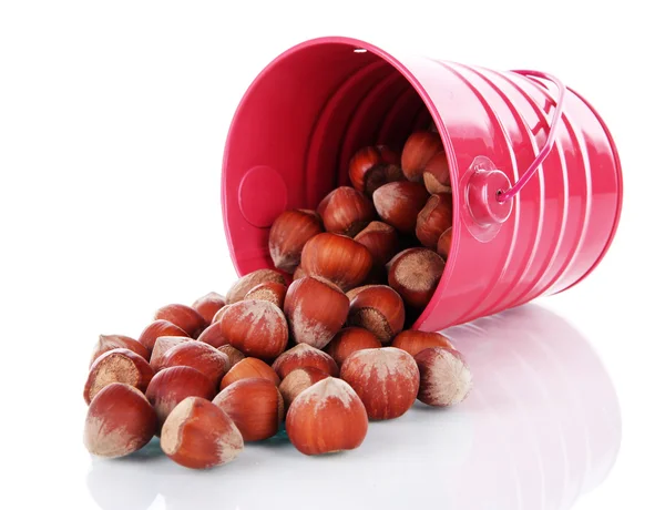 Overturned bucket with hazelnuts isolated on white — Stock Photo, Image