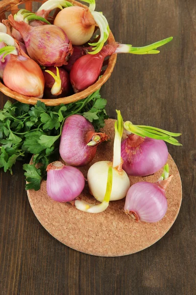 Sprouting onions on board and in basket on wooden table — Stock Photo, Image