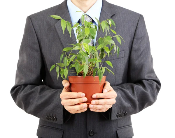 Jovem empresário com planta isolada no whit — Fotografia de Stock
