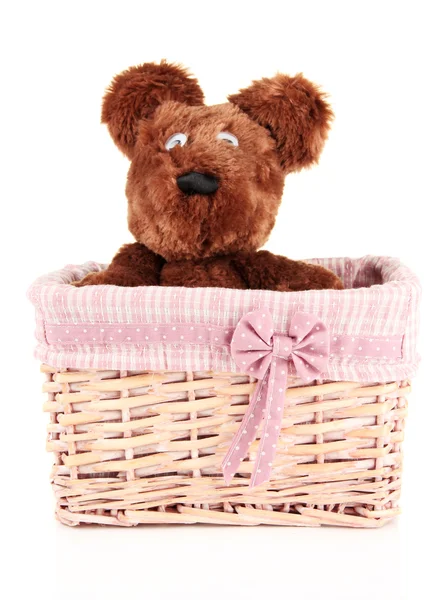 Beautiful basket with toy bear isolated on white — Stock Photo, Image