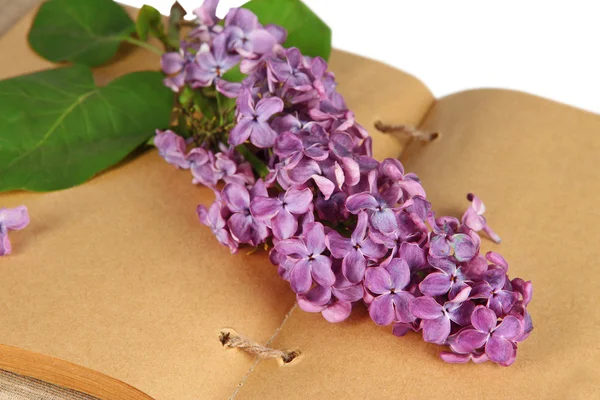 Lilacs branch on book on white fabric background — Stock Photo, Image