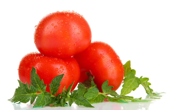 Стиглі помідори ізольовані на білому — стокове фото