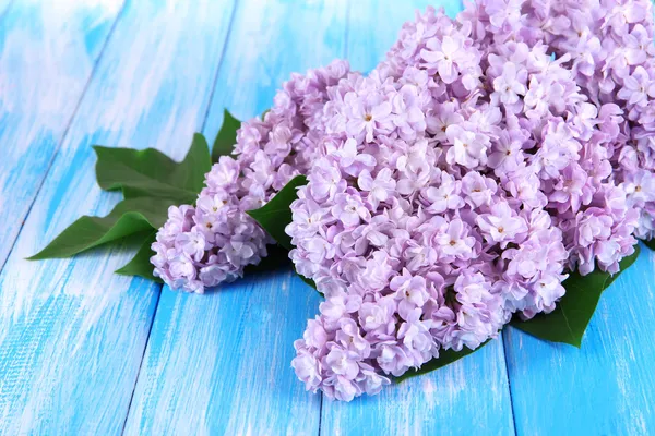 Schöne fliederfarbene Blumen auf dem Tisch in Großaufnahme — Stockfoto