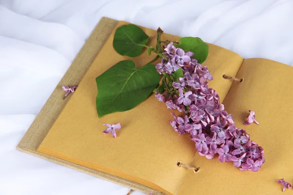 Lilacs branch on book on white fabric background — Stock Photo, Image