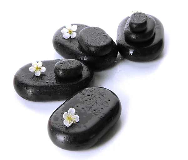 Spa stones and white flowers isolated on white — Stock Photo, Image
