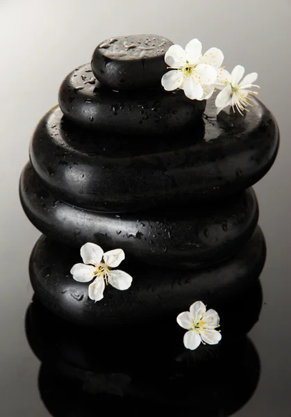 Piedras de spa y flores blancas sobre fondo oscuro — Foto de Stock