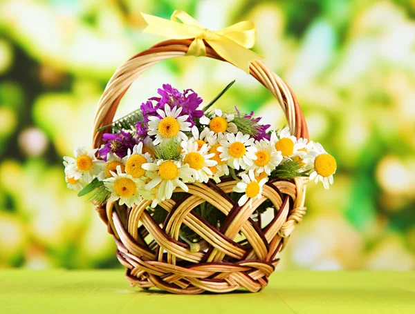 Wild flowers and spikelets in basket, on green background — Stock Photo, Image