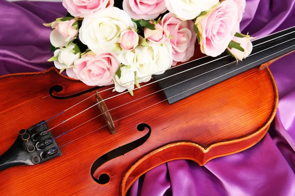 Classical violin on fabric background Stock Image