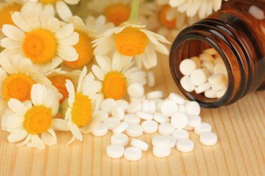 Tıp papatya çiçeği ahşap tablo