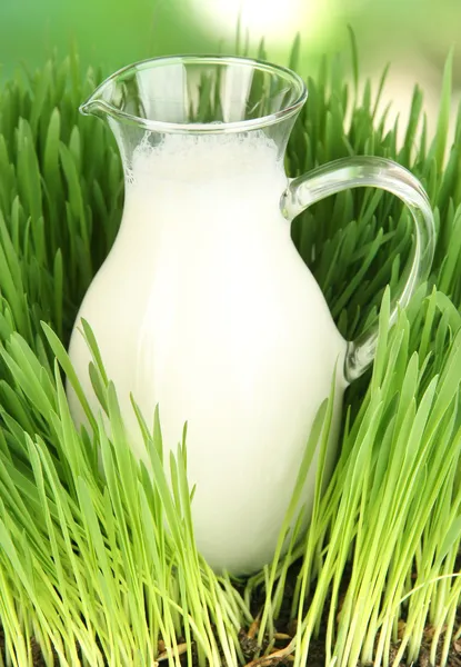 Glass pitcher of milk standing on grass close up — Stock Photo, Image