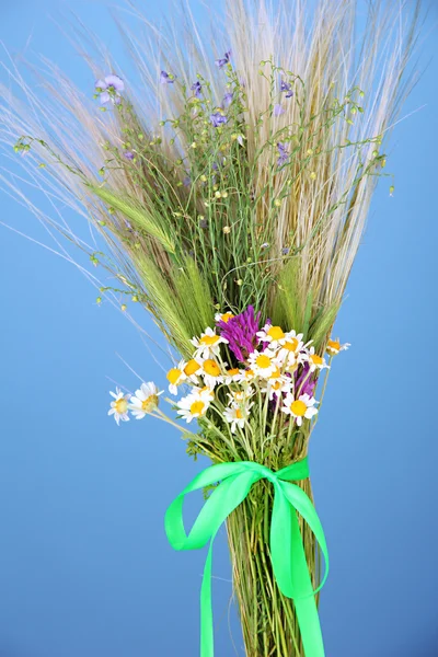 Bouquet av ville blomster og urter, på fargebakgrunn – stockfoto