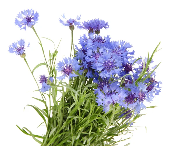 Hermoso ramo de flores, aislado en blanco — Stockfoto