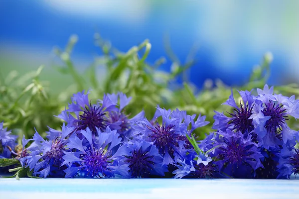 Beautiful bouquet of cornflowers on blue background — Stock Photo, Image