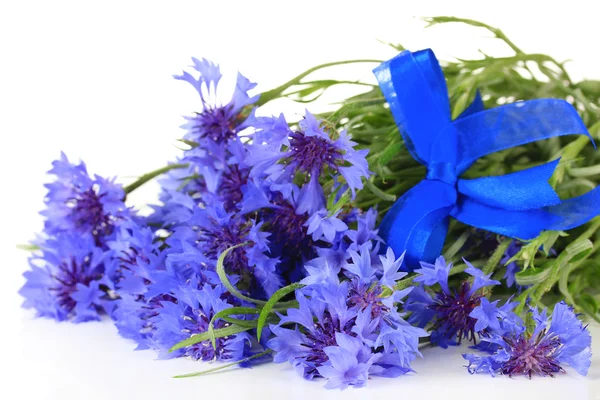 Beautiful bouquet of cornflowers, isolated on white — стоковое фото