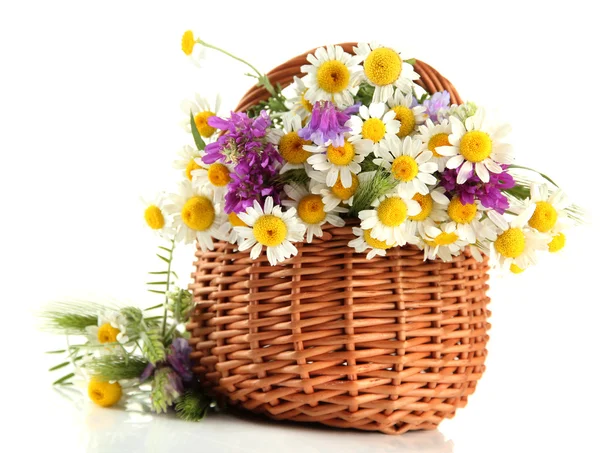 Lindas flores silvestres em cesta, isoladas em branco — Fotografia de Stock