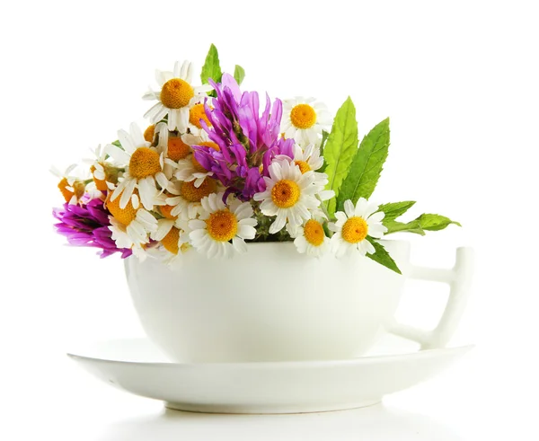 Hermosas flores silvestres y menta en taza, aislado en blanco — Foto de Stock