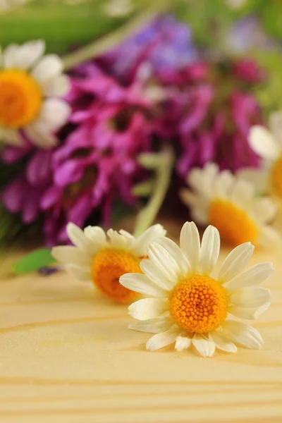 Wild flowers, on wooden background — Stock Photo, Image